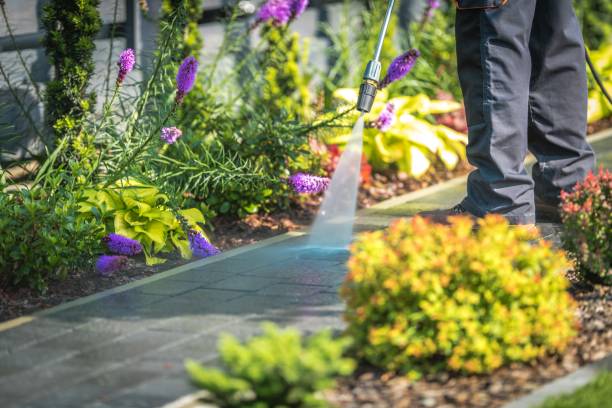 Best Boat and Dock Cleaning  in Bowling Green, MD